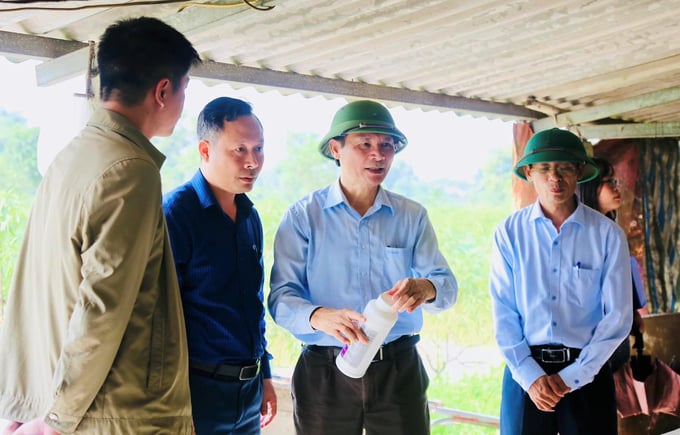 Ông Nguyễn Văn Việt, Giám đốc Sở NN-PTNT Hà Tĩnh (người cầm chai) chỉ đạo công tác phòng chống dịch tả lợn Châu Phi tại huyện Thạch Hà. Ảnh: TN